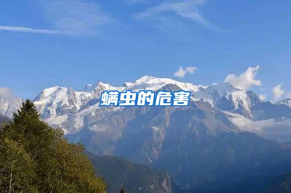 螨蟲的危害