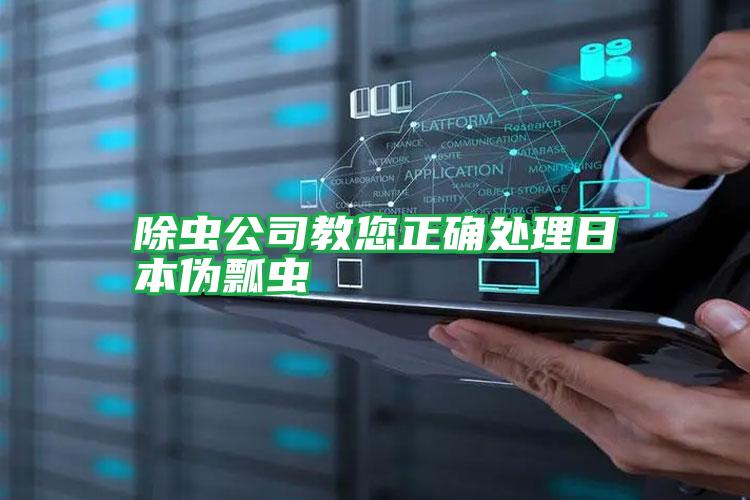 除蟲(chóng)公司教您正確處理日本偽瓢蟲(chóng)