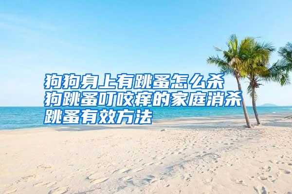 狗狗身上有跳蚤怎么殺 狗跳蚤叮咬癢的家庭消殺跳蚤有效方法