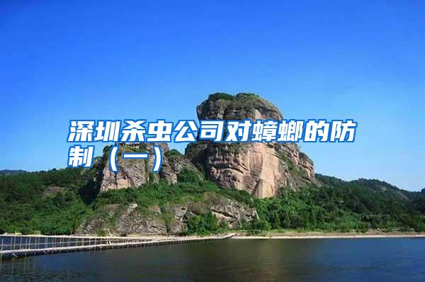 深圳殺蟲(chóng)公司對(duì)蟑螂的防制(一)