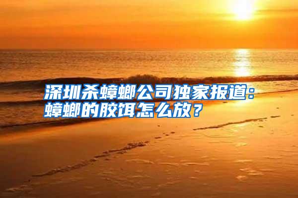 深圳殺蟑螂公司獨(dú)家報(bào)道:蟑螂的膠餌怎么放?