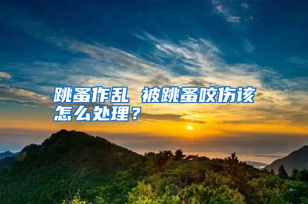 跳蚤作亂 被跳蚤咬傷該怎么處理?