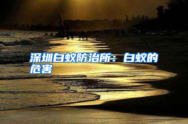 深圳白蟻防治所:白蟻的危害