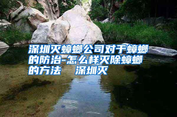 深圳滅蟑螂公司對于蟑螂的防治-怎么樣滅除蟑螂的方法 深圳滅