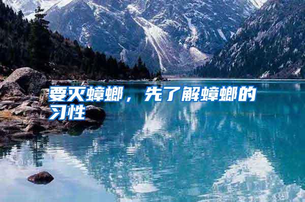 要滅蟑螂,先了解蟑螂的習性