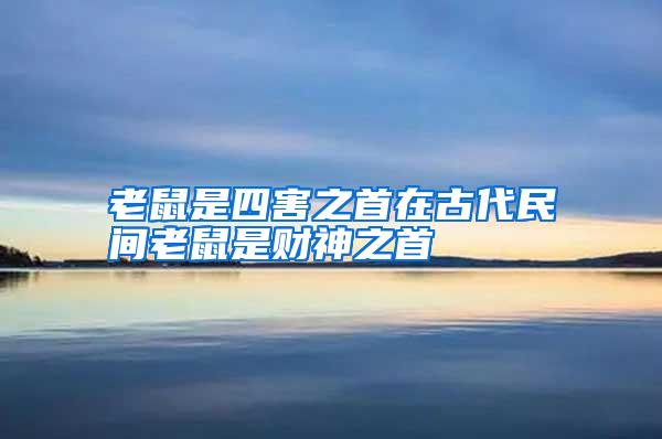 老鼠是四害之首在古代民間老鼠是財神之首