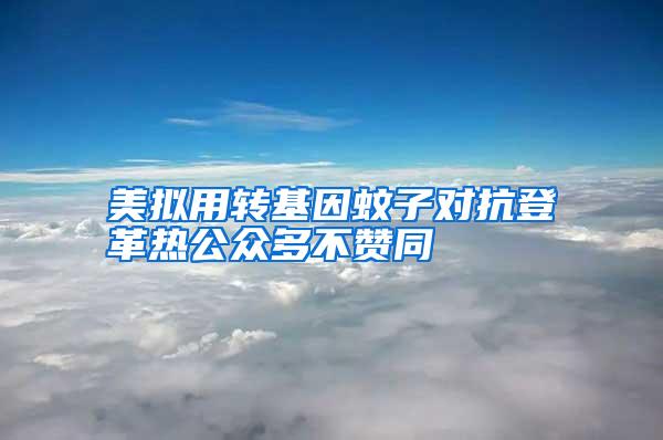美擬用轉(zhuǎn)基因蚊子對抗登革熱公眾多不贊同