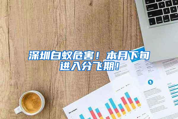 深圳白蟻危害！本月下旬進入分飛期！