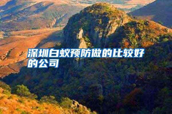 深圳白蟻預(yù)防做的比較好的公司