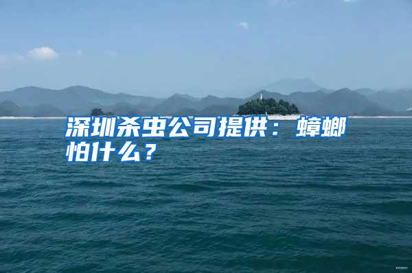 深圳殺蟲公司提供:蟑螂怕什么?