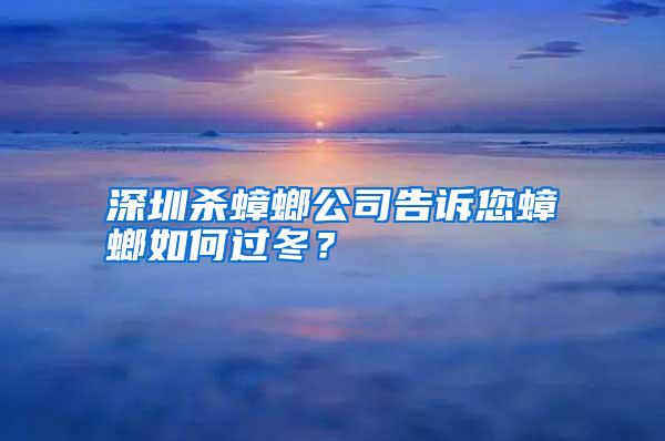 深圳殺蟑螂公司告訴您蟑螂如何過冬?