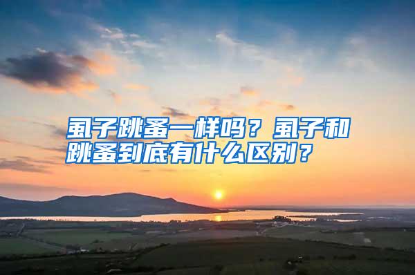 虱子跳蚤一樣嗎?虱子和跳蚤到底有什么區(qū)別?