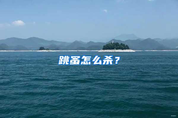 跳蚤怎么殺?
