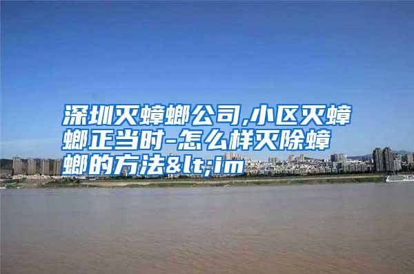 深圳滅蟑螂公司,小區(qū)滅蟑螂正當(dāng)時(shí)-怎么樣滅除蟑螂的方法<im