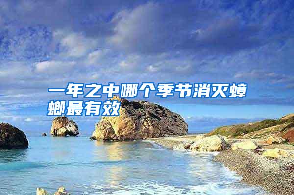 一年之中哪個季節(jié)消滅蟑螂最有效