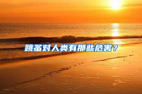 跳蚤對(duì)人類有那些危害?