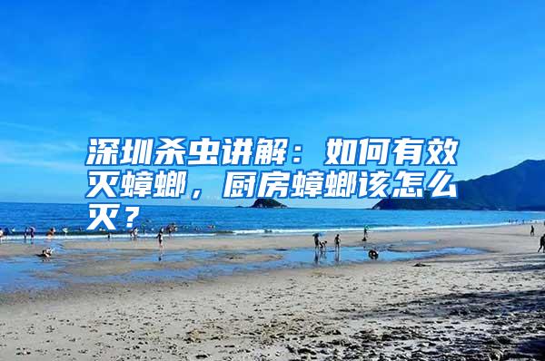 深圳殺蟲講解:如何有效滅蟑螂,廚房蟑螂該怎么滅?