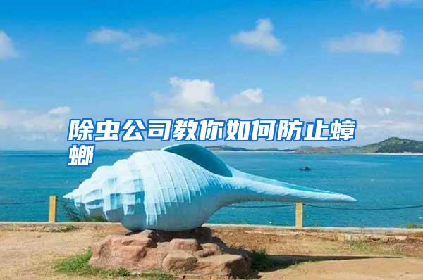 除蟲公司教你如何防止蟑螂