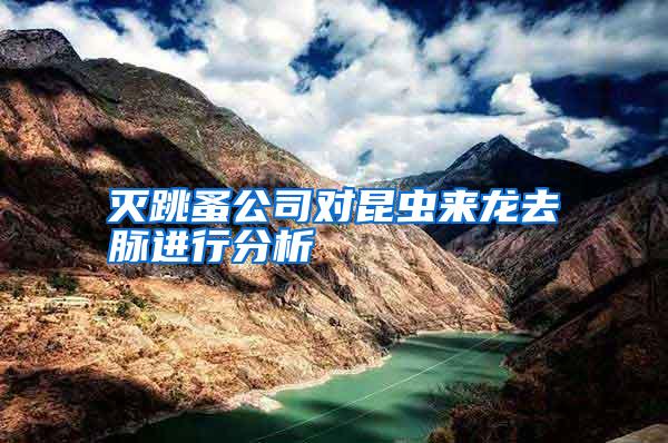 滅跳蚤公司對昆蟲來龍去脈進行分析