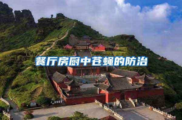 餐廳房廚中蒼蠅的防治
