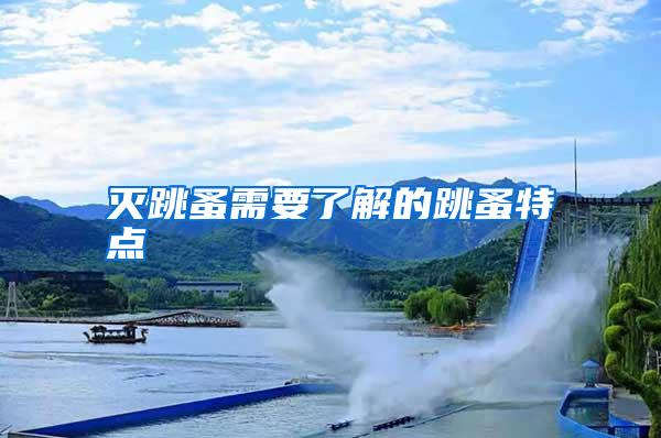 滅跳蚤需要了解的跳蚤特點