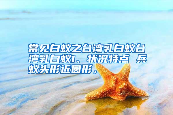 常見白蟻之臺灣乳白蟻臺灣乳白蟻1、狀況特點 兵蟻頭形近圓形,