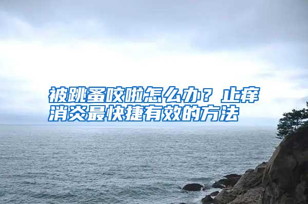 被跳蚤咬啦怎么辦?止癢消炎最快捷有效的方法
