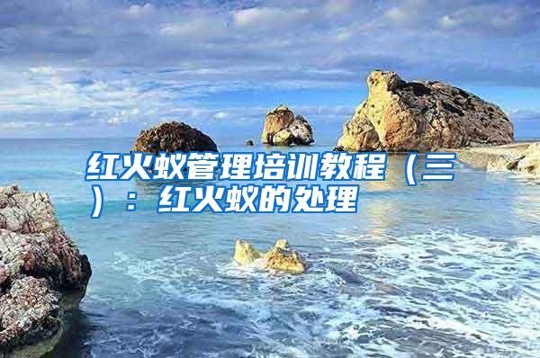 紅火蟻管理培訓教程(三):紅火蟻的處理