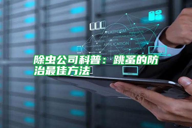 除蟲(chóng)公司科普:跳蚤的防治最佳方法