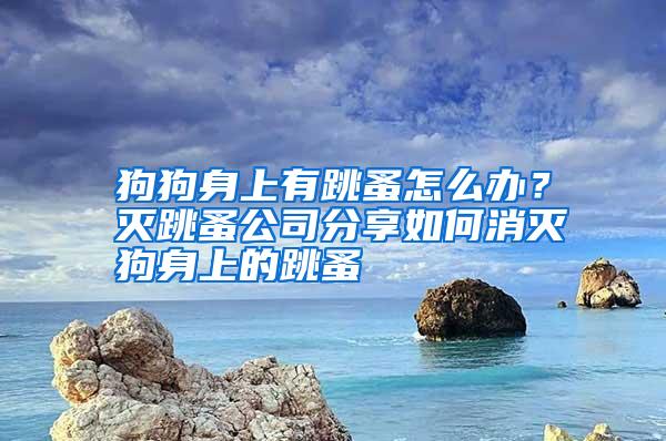 狗狗身上有跳蚤怎么辦?滅跳蚤公司分享如何消滅狗身上的跳蚤