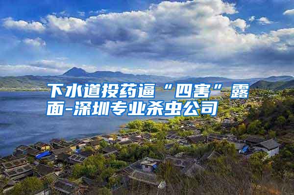 下水道投藥逼“四害”露面-深圳專(zhuān)業(yè)殺蟲(chóng)公司