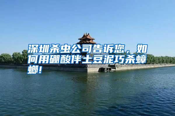 深圳殺蟲公司告訴您,如何用硼酸伴土豆泥巧殺蟑螂!