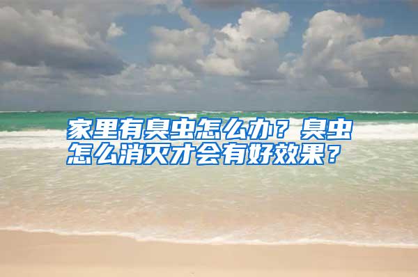 家里有臭蟲怎么辦?臭蟲怎么消滅才會有好效果?