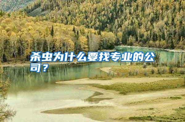 殺蟲為什么要找專業(yè)的公司?