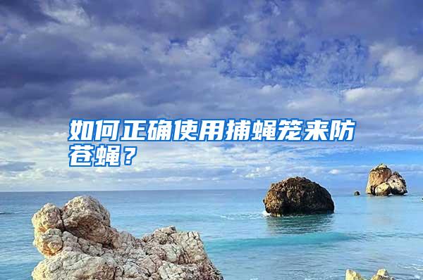 如何正確使用捕蠅籠來防蒼蠅?