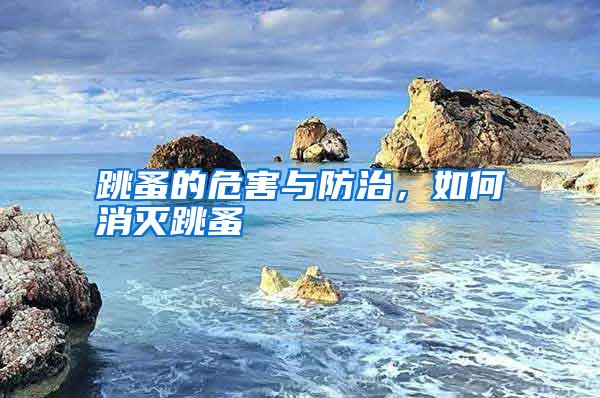 跳蚤的危害與防治,如何消滅跳蚤