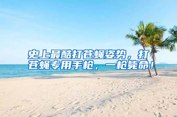 史上最酷打蒼蠅姿勢,打蒼蠅專用手槍,一槍斃命!