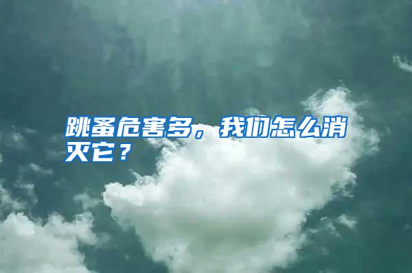 跳蚤危害多,我們怎么消滅它?