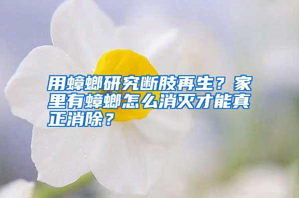 用蟑螂研究斷肢再生?家里有蟑螂怎么消滅才能真正消除?