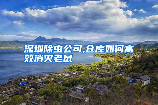 深圳除蟲(chóng)公司,倉(cāng)庫(kù)如何高效消滅老鼠