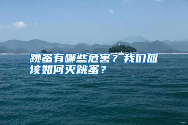跳蚤有哪些危害?我們應(yīng)該如何滅跳蚤?