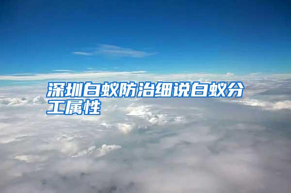 深圳白蟻防治細(xì)說白蟻分工屬性