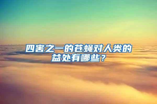 四害之一的蒼蠅對(duì)人類的益處有哪些？