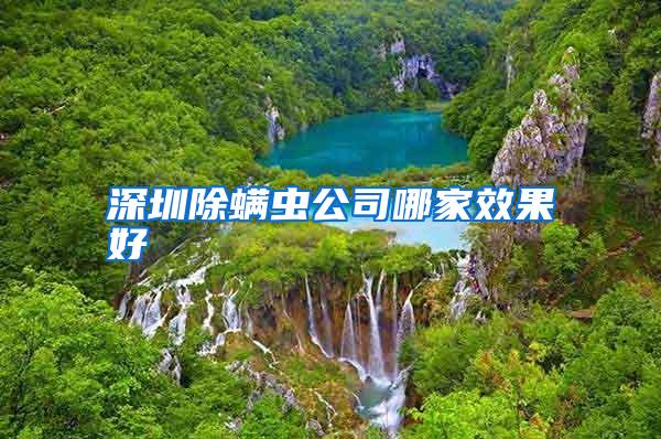 深圳除螨蟲(chóng)公司哪家效果好