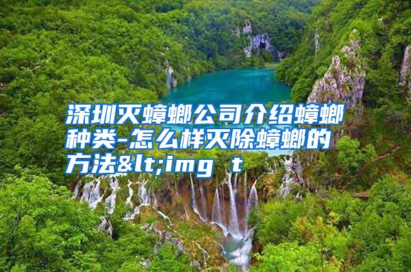 深圳滅蟑螂公司介紹蟑螂種類-怎么樣滅除蟑螂的方法<img t
