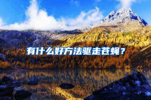 有什么好方法驅(qū)走蒼蠅？
