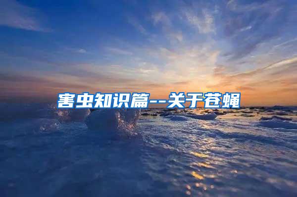 害蟲(chóng)知識(shí)篇--關(guān)于蒼蠅