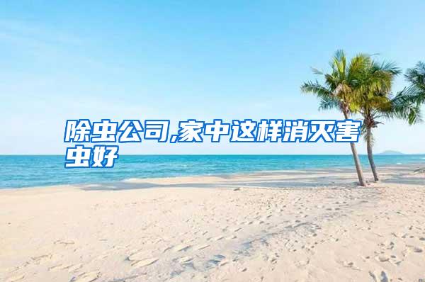 除蟲公司,家中這樣消滅害蟲好