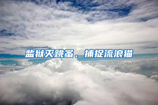 監(jiān)獄滅跳蚤、捕捉流浪貓