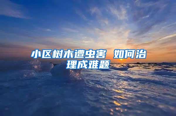 小區(qū)樹木遭蟲害 如何治理成難題
